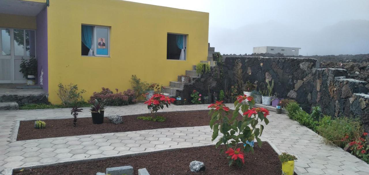 Portela Ciza E Rose B&B 외부 사진