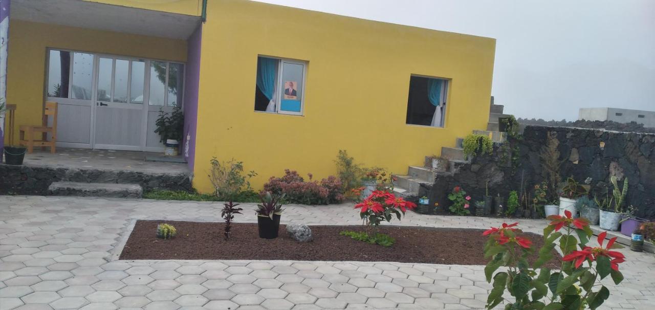 Portela Ciza E Rose B&B 외부 사진