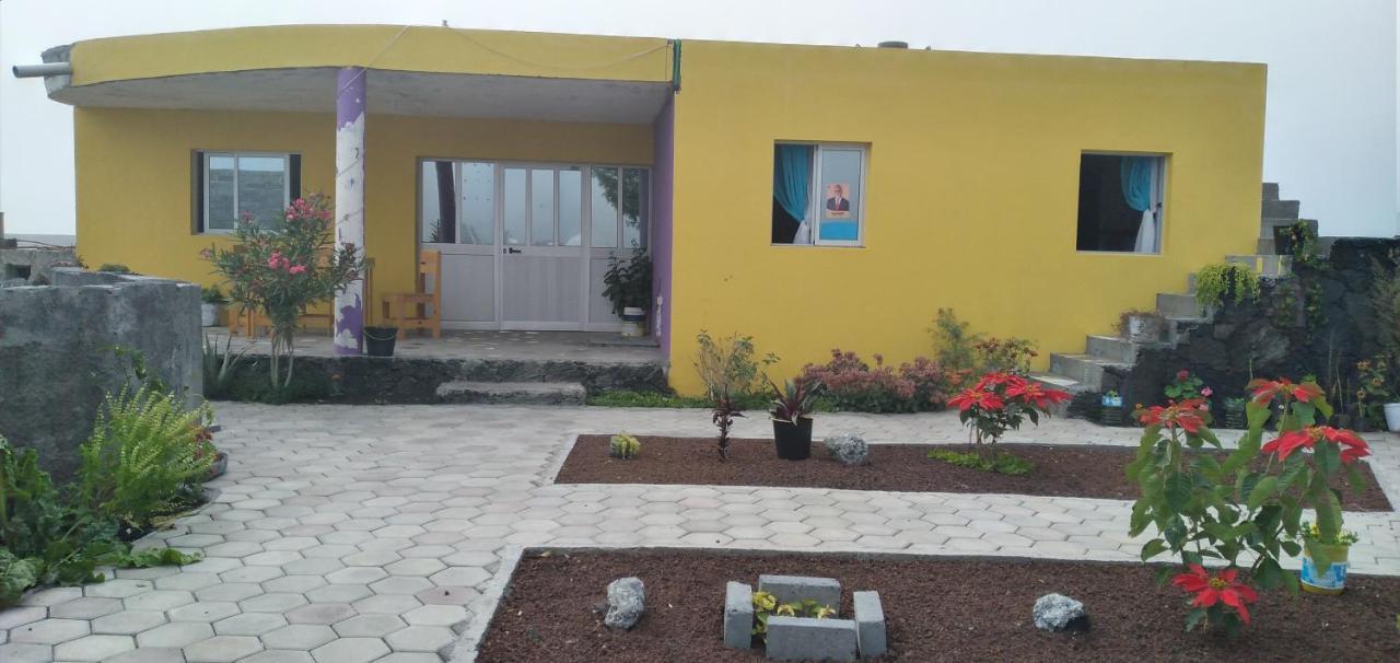 Portela Ciza E Rose B&B 외부 사진