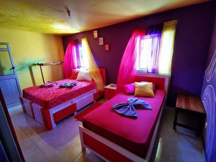 Portela Ciza E Rose B&B 외부 사진